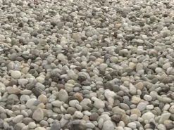 Hot WECO Buntkies "Rhein" Bunt 40 mm - 80 mm 25 kg/ Sack