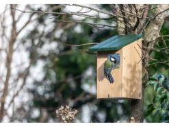 CJ Wildlife Nistkasten Seattle mit Raubtierschutz 32 mm