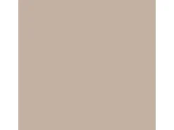 Clearance CREATE! by OBI Lieblingsfarben Wandfarbe Justus matt 2,5 l Karamellbeige