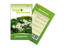 Sale Deine Gartenwelt Gänseblümchen Einfach Weiß Samen