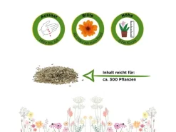 Sale Deine Gartenwelt Gänseblümchen Einfach Weiß Samen