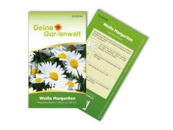 Deine Gartenwelt Margerite Weiß Samen