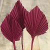 Outlet Deko-Pflanze Palm Spear Burgund