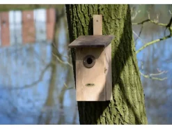 Outlet Dobar Beobachtungsnistkasten mit drei Lochgrößen Braun