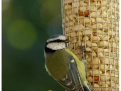 Dobar Futterspender mit Gitterröhre 14 cm x 14 cm x 26 cm Silber