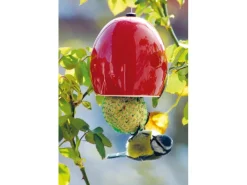 Dobar Keramik-Meisenknödelhalter 6er-Set Rot/Grün/Blau