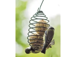 Dobar Vogelfutterfeder