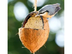 Online Dobar Vogelfutter-Mix 4 x gefüllte Kokosnuss und 2 x Riesenzapfen mit Fettfutter