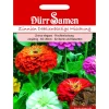 Dürr Samen Zinnien Dahlienblütige Prachtmischung Einjährig Saatgut