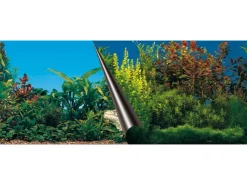 Clearance Ebi Fotorückwand Motiv Beauty & Sea 80 cm x 40 cm