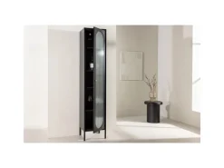 ebuy24 Cali Vitrinenschrank 1 Tür Schwarz