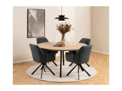 ebuy24 Glenda Esszimmerstuhl Mit Armlehnen Stoff Grau