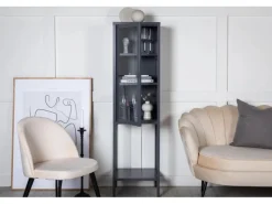 ebuy24 Misha Vitrinenschrank 1 Tür 4 Ablagen Grau