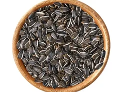 elles Sonnenblumenkerne 2,5 kg