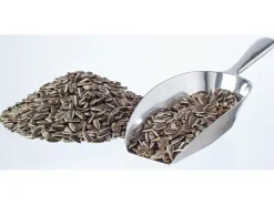 elles Sonnenblumenkerne 2,5 kg