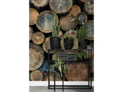 Online ESTAhome Fototapete Baumstämme Braun 186 cm x 279 cm 158206