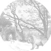 ESTAhome Selbstklebende Runde Tapete Wald Mit Waldtieren Grau Ø 140 cm 159083