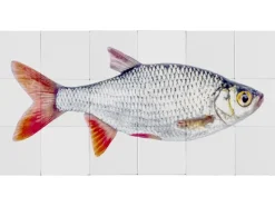 Hot ESTAhome Wandtattoo Fisch Grau und Rot 97 x 48,5 cm 159029