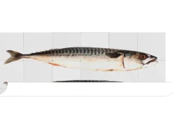 New ESTAhome Wandtattoo Fische Grau 97 x 48,5 cm 159030