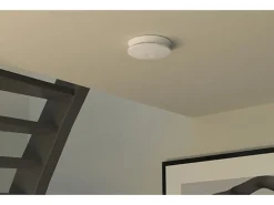 Fischer Gipskartondübel Duoblade S mit Spanplattenschraube je 20 Stück