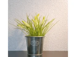 Sale Floxxan Baumwollputz Colorado 101 Baumwolle Farbe Weiß Putz Tapete Flüssigtapete