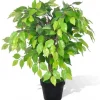 Clearance furnicato Künstlicher Zwerg-Ficus mit Topf 60 cm