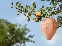 Gardigo Wespennest-Attrappe 2er Set