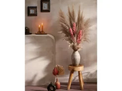 Clearance Getrocknetes Palmenblatt Ancient Secrets 5-tlg. 12-13 cm x 45-50 cm Terrakotta