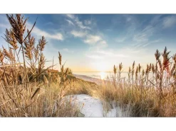 Discount Pro Art Giclèe Wilder Strand III 160 cm x 90 cm