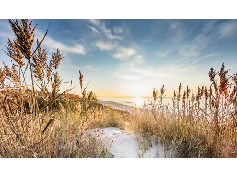 Discount Pro Art Giclèe Wilder Strand III 160 cm x 90 cm