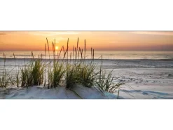 Discount Pro Art Glas-Art Lonely Dune 30 cm x 80 cm