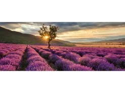 Pro Art Glas-Art Silence 50 cm x 125 cm