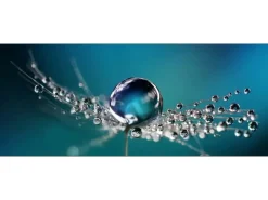 Clearance Pro Art Glasbild Drop On Water 80 cm x 30 cm