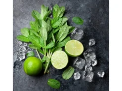 Online Pro Art Glasbild Lime & Ice Cube 20 cm x 20 cm