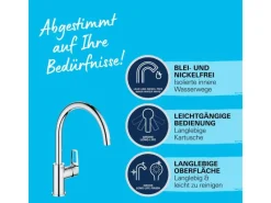 Clearance Grohe QuickFix Einhebel-Spültischarmatur Start Loop Chrom