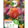 GROW by OBI Papagei-Tulpe Avignon Parrot Rot 8 Stück Tulipa parrot