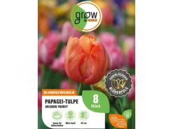 GROW by OBI Papagei-Tulpe Avignon Parrot Rot 8 Stück Tulipa parrot