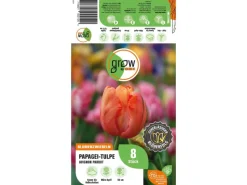 GROW by OBI Papagei-Tulpe Avignon Parrot Rot 8 Stück Tulipa parrot