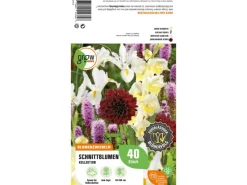 Clearance GROW by OBI Schnittblumen-Kollektion Höhe ca. 50 cm - 100 cm