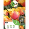 Discount GROW by OBI Tulpe Lambada Orange 5 Stück Tulipa fringed Lambada
