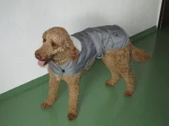 Discount Heim Hundemantel Banbury Mit Kragen Größe S Rückenlänge 40 cm