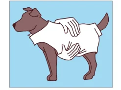 Sale Heim Hundepullover Arktis Größe 25 Schwarz