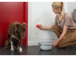 Clearance Histor Clean Wandfarbe Weiß seidenmatt 10 l