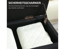 HOMCOM Sitzbank Polsterbank mit Stauraum Truhenbank 100 x 40 x 44 cm