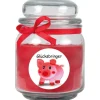 HS Candle Duftkerze & Bonbon Glas Viel Glück Rot Rose