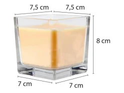 HS Candle Duftkerze & Glas Sternzeichen Vanille 50 Stunden Wassermann
