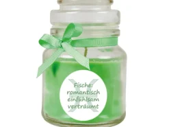 HS Candle Duftkerze & Glas Sternzeichen Coconut Limes 30 Stunden Fische