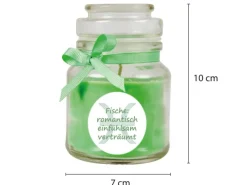 HS Candle Duftkerze & Glas Sternzeichen Coconut Limes 30 Stunden Fische
