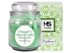 HS Candle Duftkerze & Glas Sternzeichen Coconut Limes 70 Stunden Widder