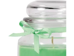 Outlet HS Candle Duftkerze & Glas Sternzeichen Coconut Limes 110 Stunden Schütze